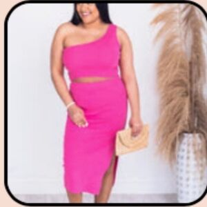 Pink Lily Sunlit Romnce Vibrant Pink Knit Pencil Skirt Sz L